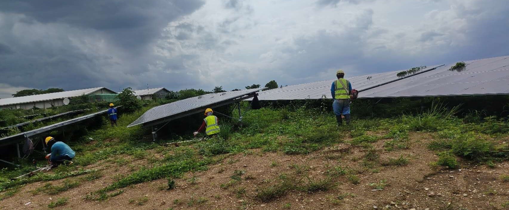 Field team maintaining ground-mount solar array