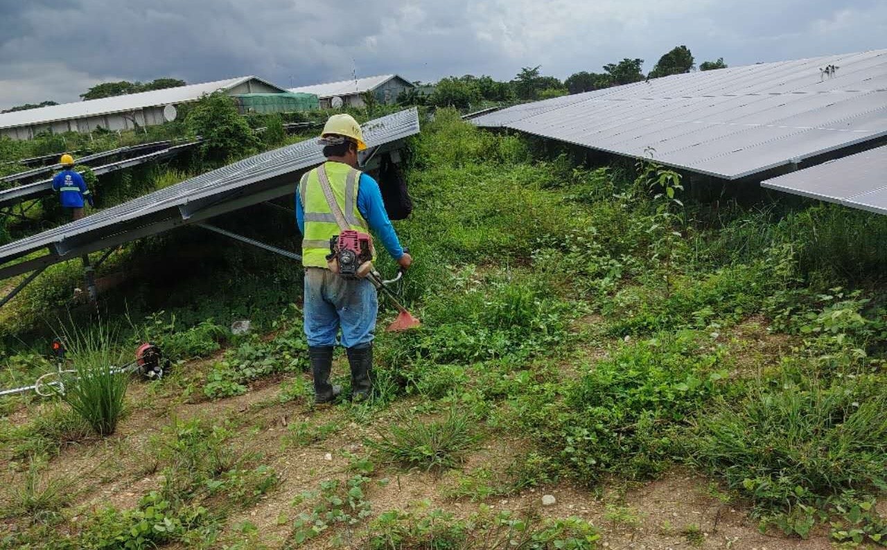 Technician clearing vegetation at solar site