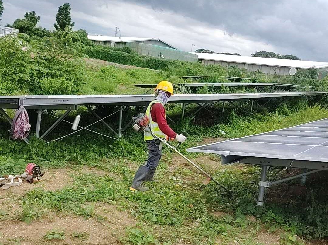 Technician clearing vegetation near solar racking
